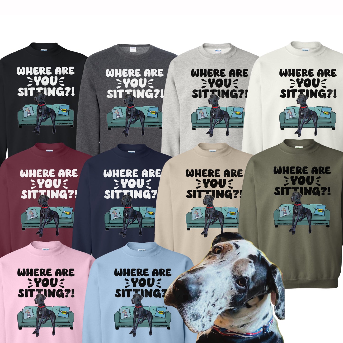 Where are YOU Sitting?! Joe Great Dane Sweatshirt