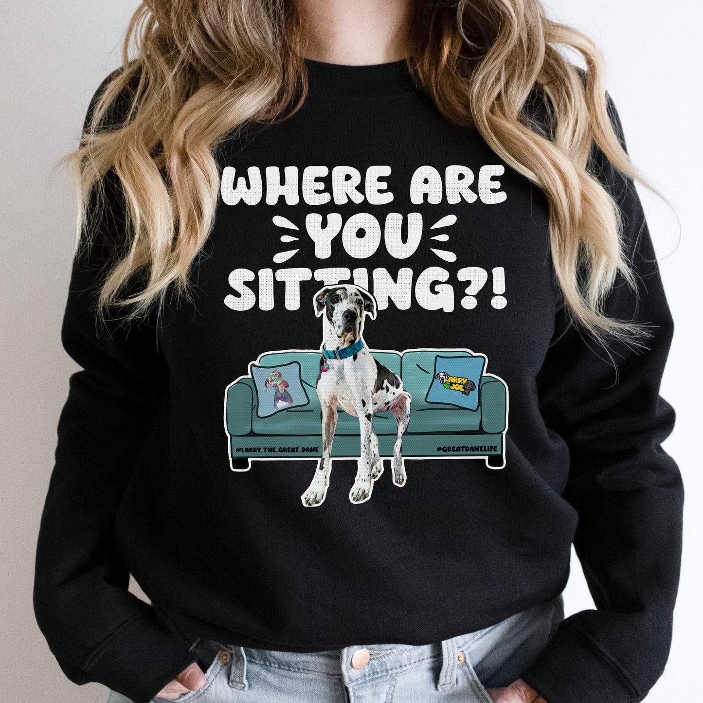 Where are YOU Sitting?! Larry Great Dane Sweatshirt