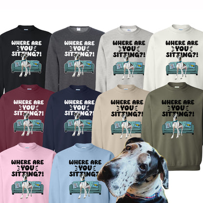 Where are YOU Sitting?! Larry Great Dane Sweatshirt