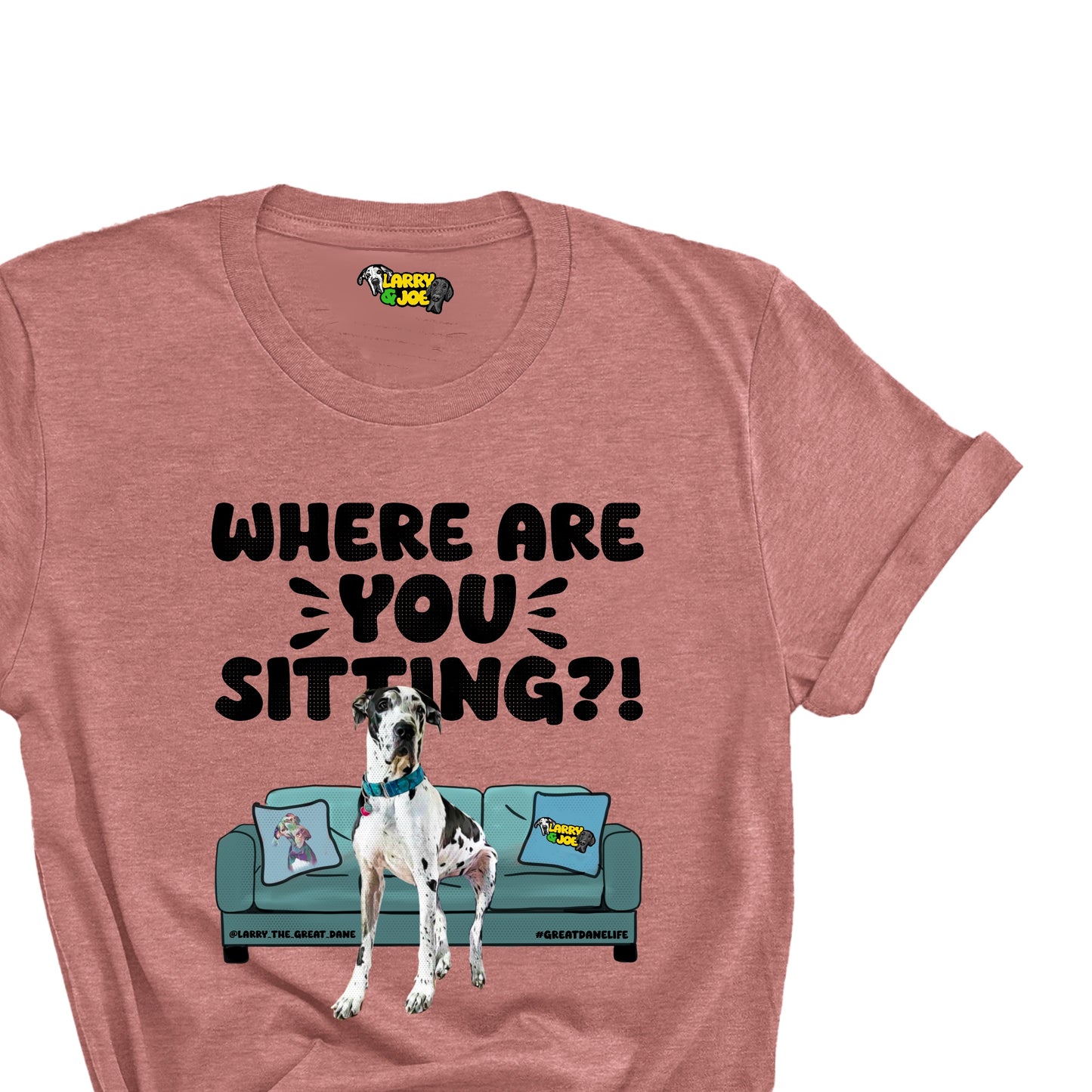 Where are you Sitting? Larry T-Shirt