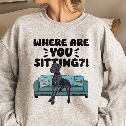 Where are YOU Sitting?! Joe Great Dane Sweatshirt