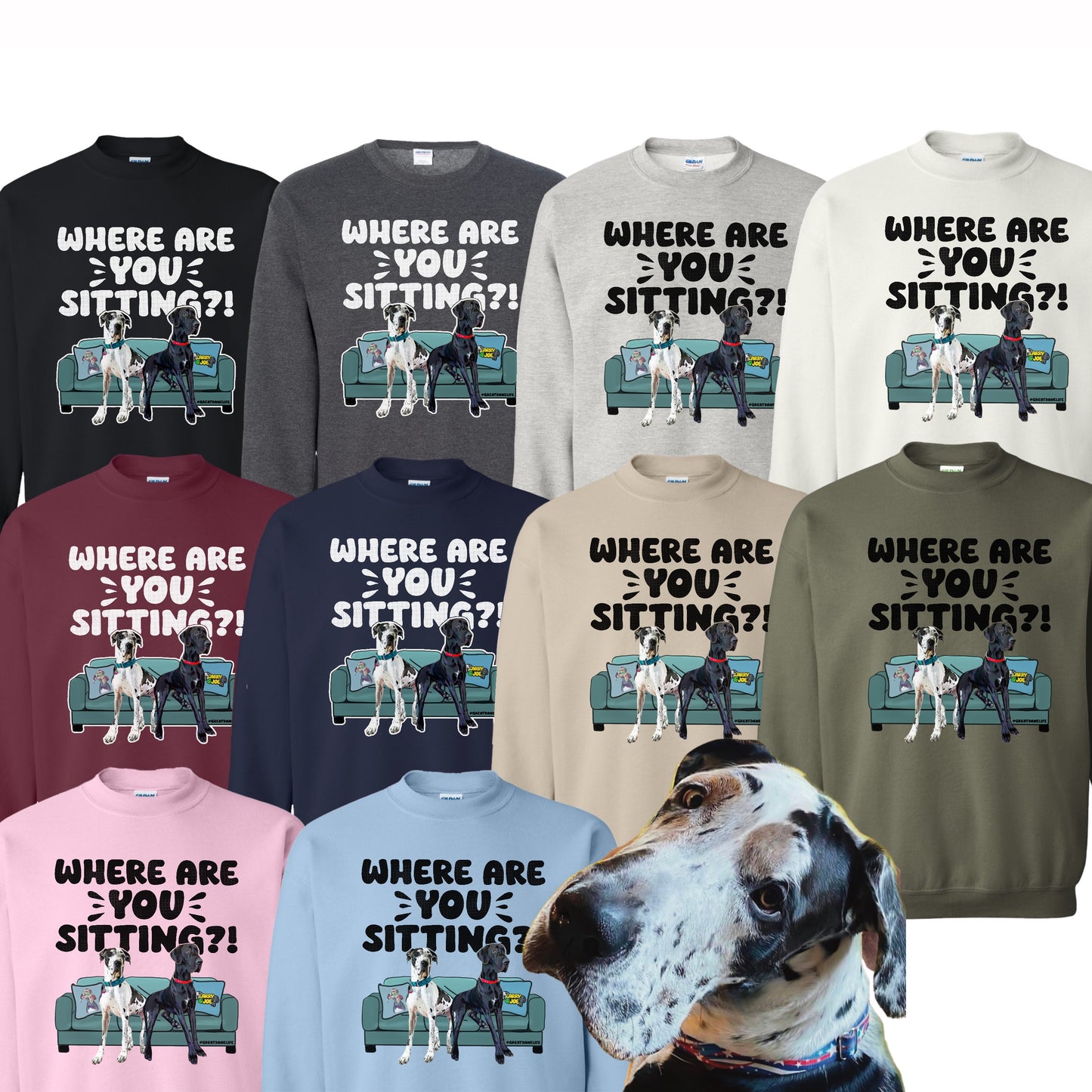 Where are YOU Sitting?! Larry & Joe Great Dane Sweatshirt